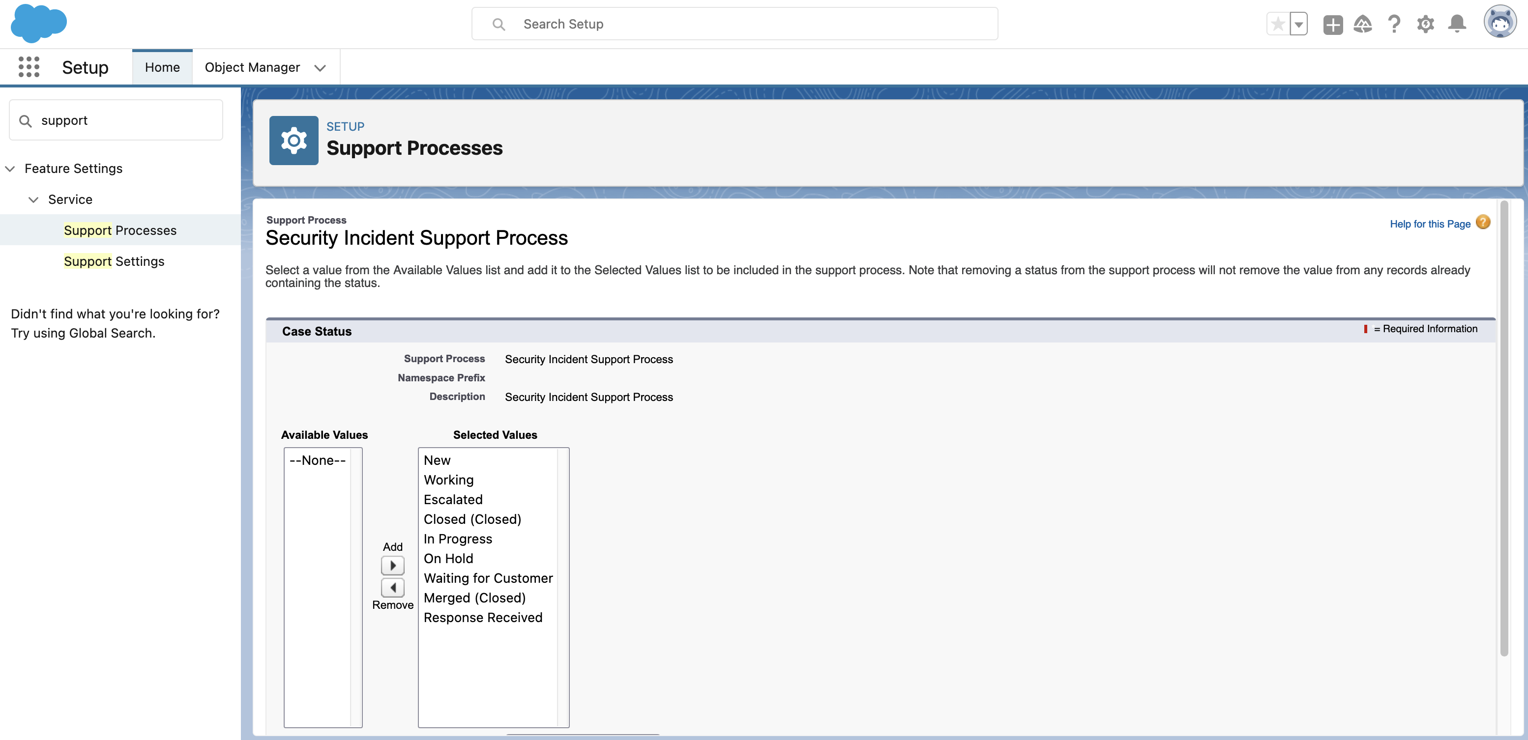 screenshot: support-process 